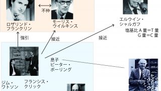 7月25日（木）19～21時DVD「DNA構造解明物語」＆解説 ～埋もれた